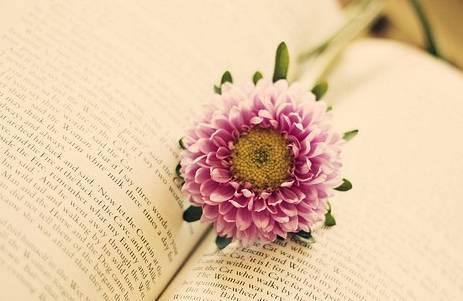 IM电竞平台-同学,来盘一下跟异性谈天的凉凉话题呀!(图2) IM电竞平台