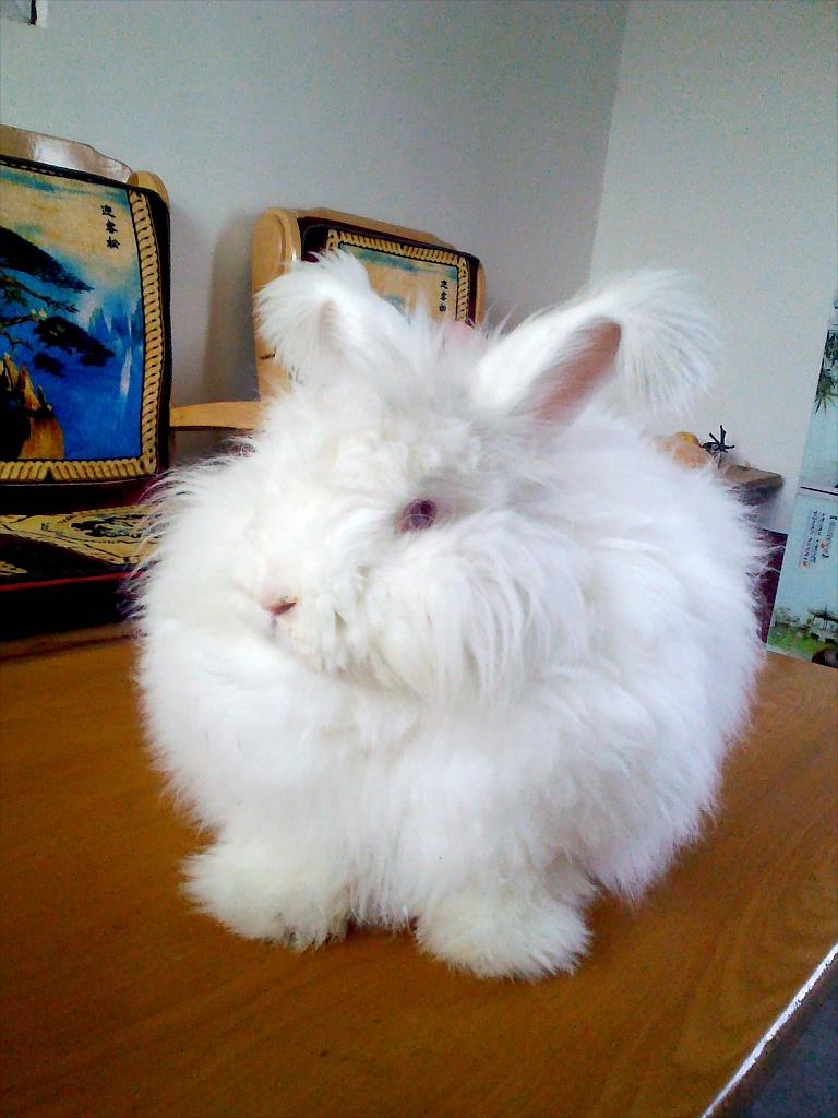 濮阳市教育局办公室关于印发濮阳市幼儿园“小学化”专项治理行动方案的通知‘IM电竞官网’(图2) IM电竞