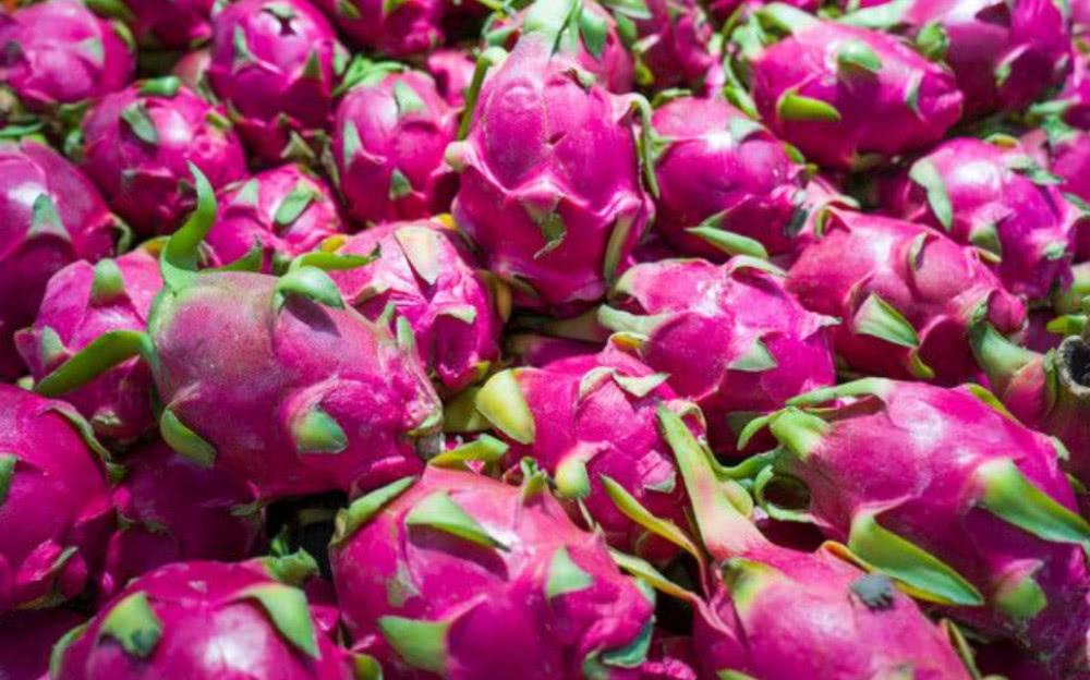 郭全博：首次来国足还有不足 抱着学习态度训练_IM电竞平台