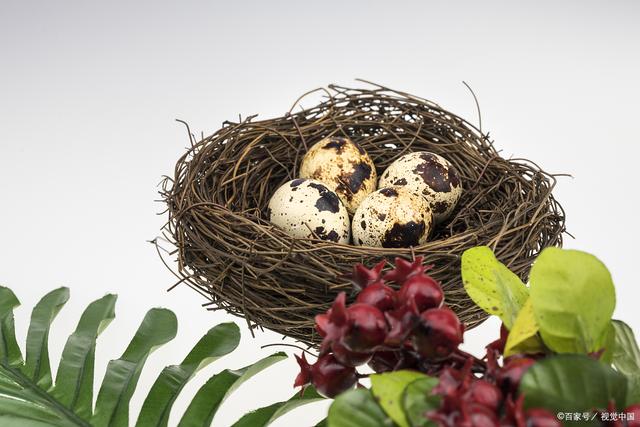 【IM电竞平台】成都哪个医院是专业医治甲状腺结节(图3) IM电竞平台