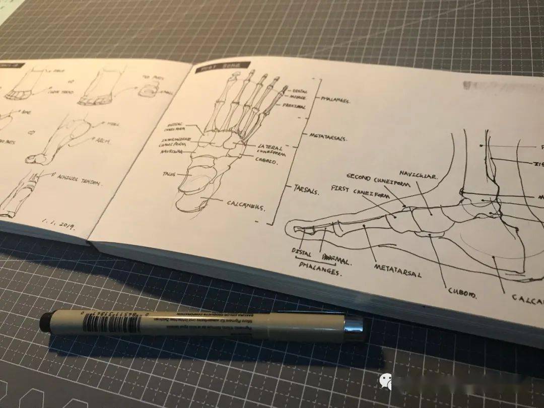 来稿丨一组出口转内销的球鞋训练稿_IM电竞官网(图11)
来稿丨一组出口转内销的球鞋训练稿_IM电竞官网(图11)
