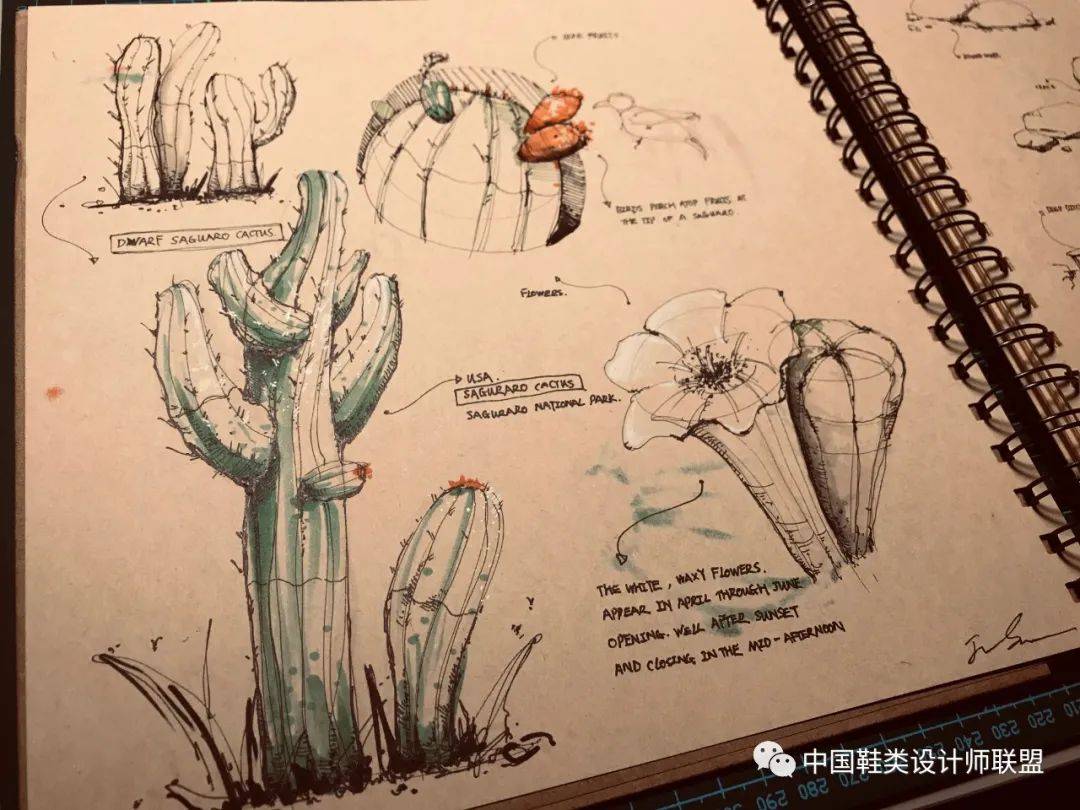 来稿丨一组出口转内销的球鞋训练稿_IM电竞官网(图15)
来稿丨一组出口转内销的球鞋训练稿_IM电竞官网(图15)