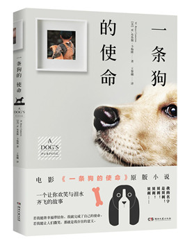 IM电竞：杜兆才将拥有足协内最高话语权 足协重新洗牌？