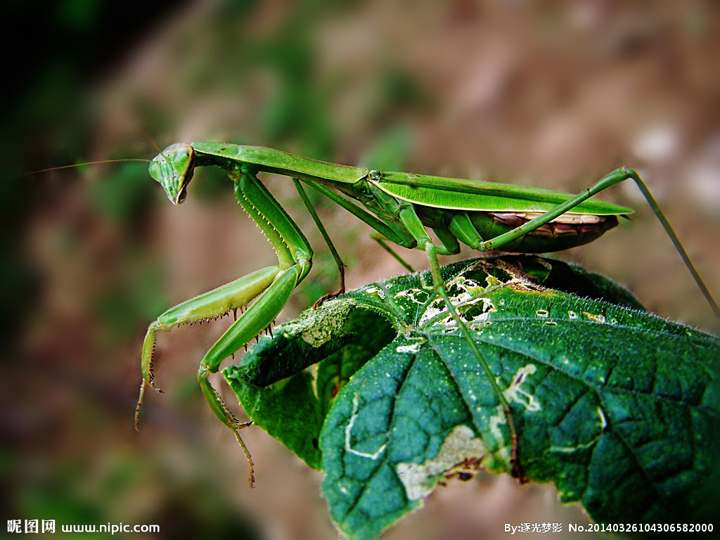 “IM电竞”防控督查科学护航温江区公平学校(图2) IM电竞平台
