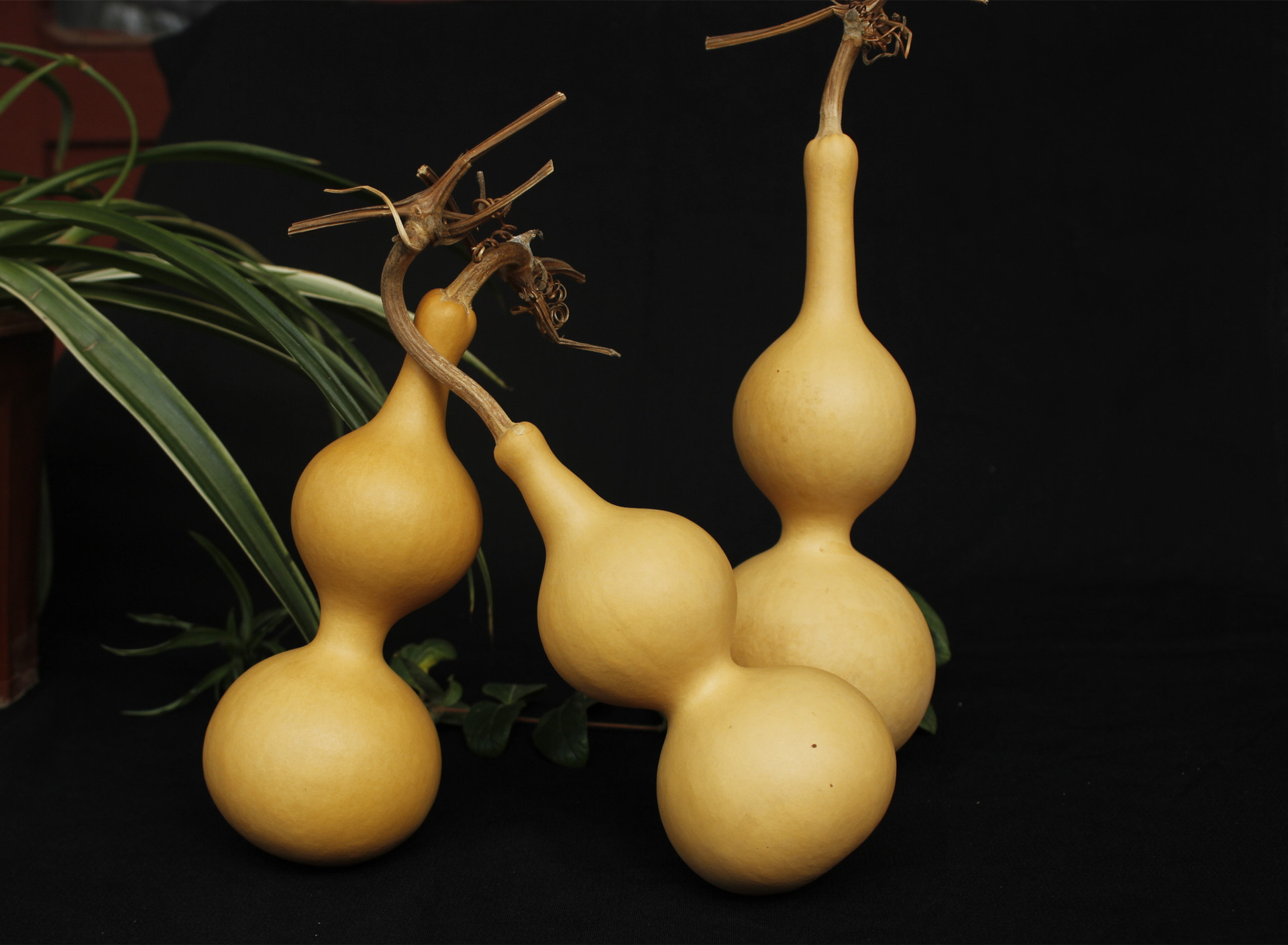 发量少又细软适合什么发型?倪妮的微卷短发相识下 时尚又显高级“IM电竞官网”(图2) IM电竞