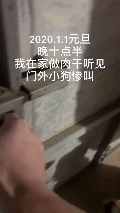 发量少又细软适合什么发型?倪妮的微卷短发相识下 时尚又显高级“IM电竞官网”(图5) IM电竞官网