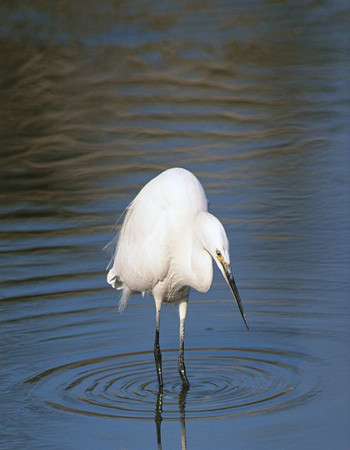 广州白云区、芳村区幼儿园如何选?家长评论给意见‘IM电竞平台’(图4) IM电竞