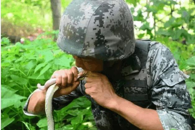 IM电竞:国足首发预测:沿用433 于大宝搭档张玉宁郜林(图3) IM电竞平台