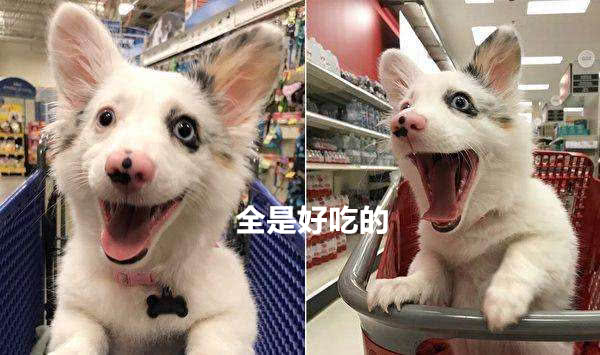 国青洋帅未过“试用期”闪电下课 本土教练带队-IM电竞平台