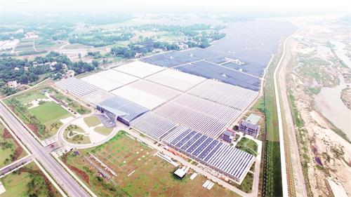 “减负令”管不到幼儿?-IM电竞平台(图4) IM电竞平台