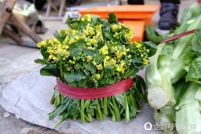 IM电竞：育新幼儿园：主题展示结硕果歌舞飞扬展风采