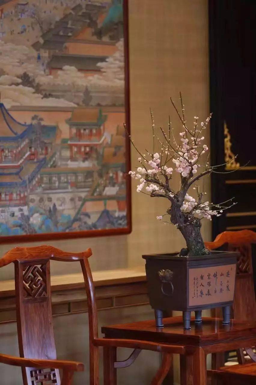 什么样的红木椅坐起来最舒服?解读椅子的尺寸尺度|IM电竞官网(图4)
什么样的红木椅坐起来最舒服?解读椅子的尺寸尺度|IM电竞官网(图4)