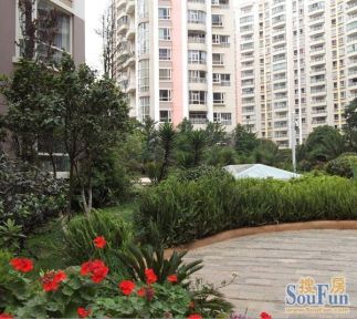 什么样的红木椅坐起来最舒服?解读椅子的尺寸尺度|IM电竞官网(图7) IM电竞平台