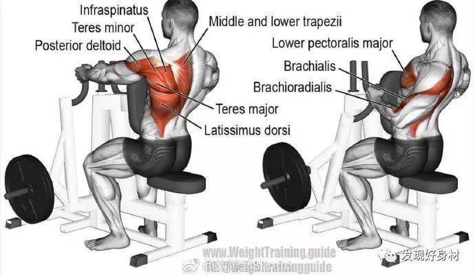 【IM电竞官网】
20岁宁夏小伙练就一身肌肉,收获迷妹无数!(图27)