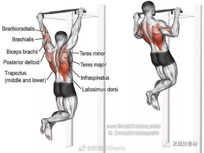 【IM电竞官网】
20岁宁夏小伙练就一身肌肉,收获迷妹无数!(图29)