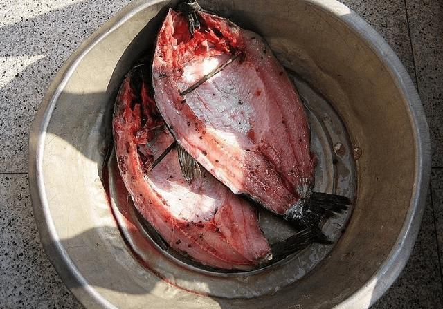 孙卫：国奥大名单难以抉择 为何没招入张呈栋“IM电竞平台”