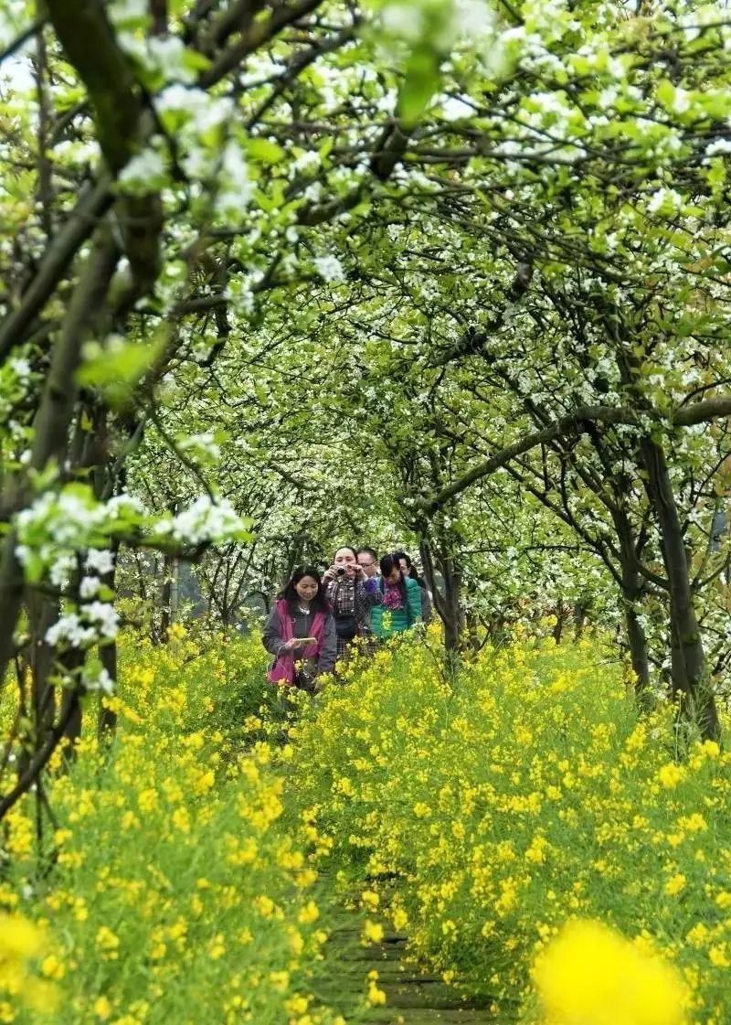 IM电竞官网：华严小学开展流感及传染病防治宣传主题教育活动