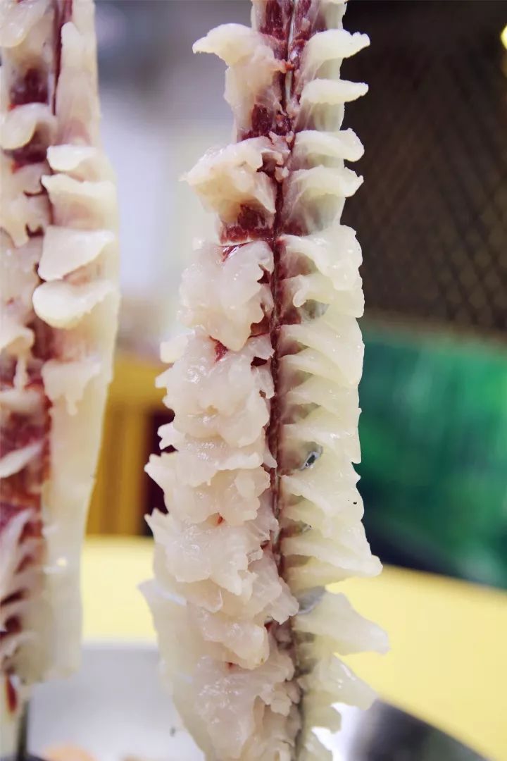 ‘IM电竞’祝国寺小学开展元旦庆祝活动暨“班班有歌声”合唱比赛