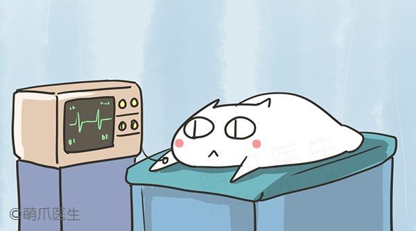 IM电竞平台|2016北京第六幼儿园招生简章(图2) IM电竞官网