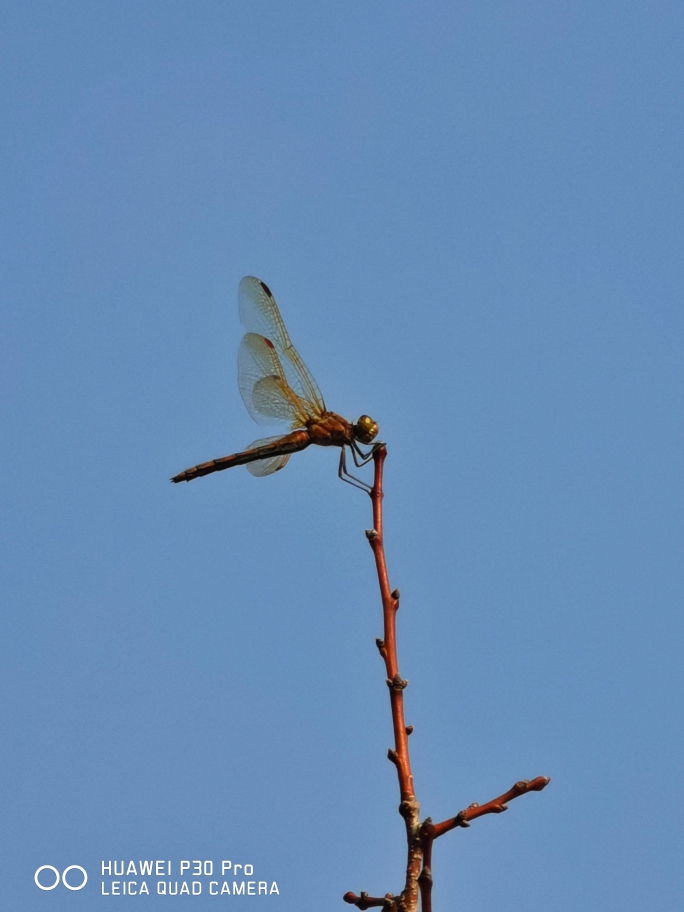 男篮12人名单,其实不难猜【IM电竞】(图2) IM电竞