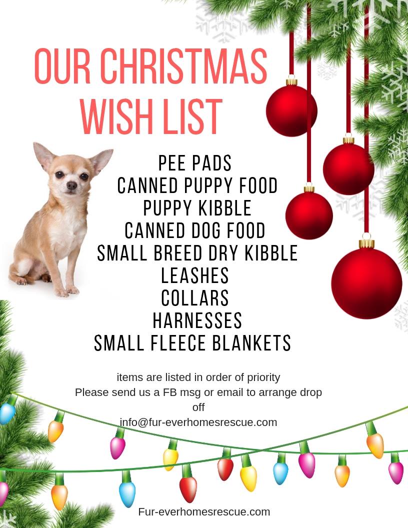 IM电竞:爱心守护希望同行(图2) IM电竞