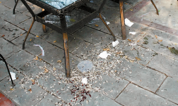 IM电竞:爱心守护希望同行(图4) IM电竞