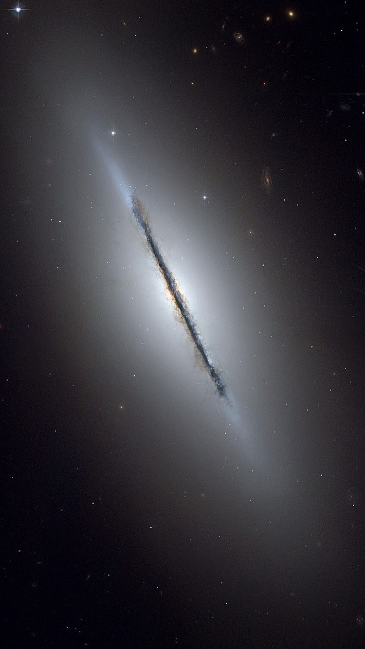 ‘IM电竞官网’小腿白癜风后期症状