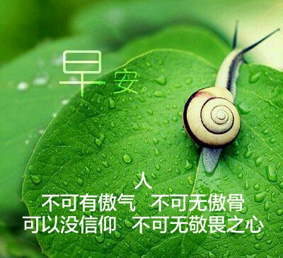 ‘IM电竞平台’RCA改善(图4) IM电竞平台