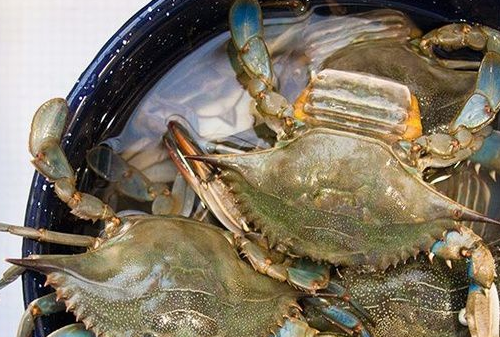 教育合力再添强援!海滨小学党支部与青龙街道东林社区党总支举行支部共建签约仪式“IM电竞官网”(图4) IM电竞官网