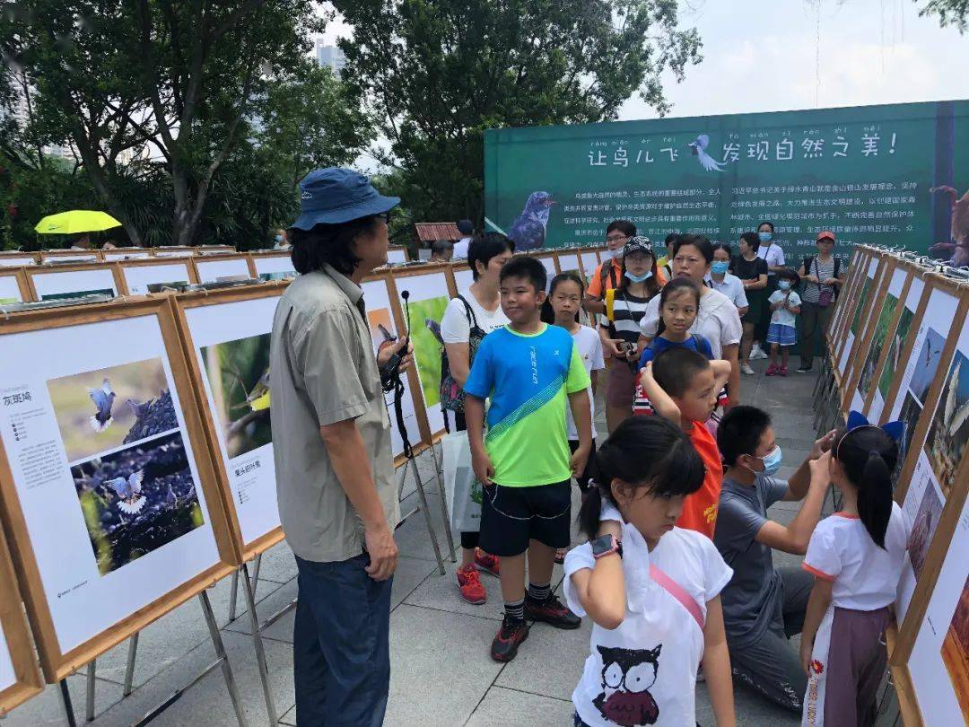 
肇庆有场图片展 展出170多种珍稀鸟类！这些你还纷歧定见过……“IM电竞平台”(图3)